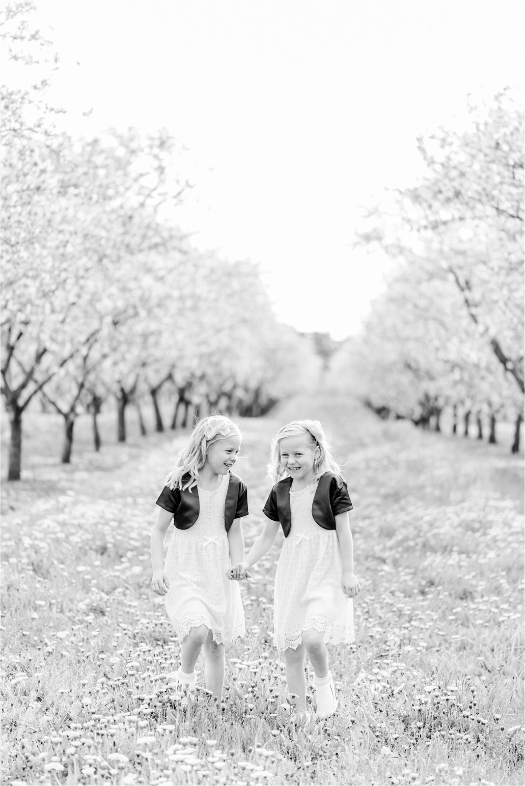 Cherry farm twins