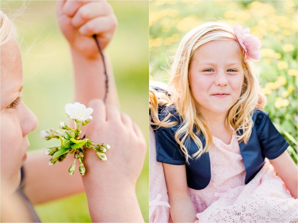 Cherry farm twins blossoms