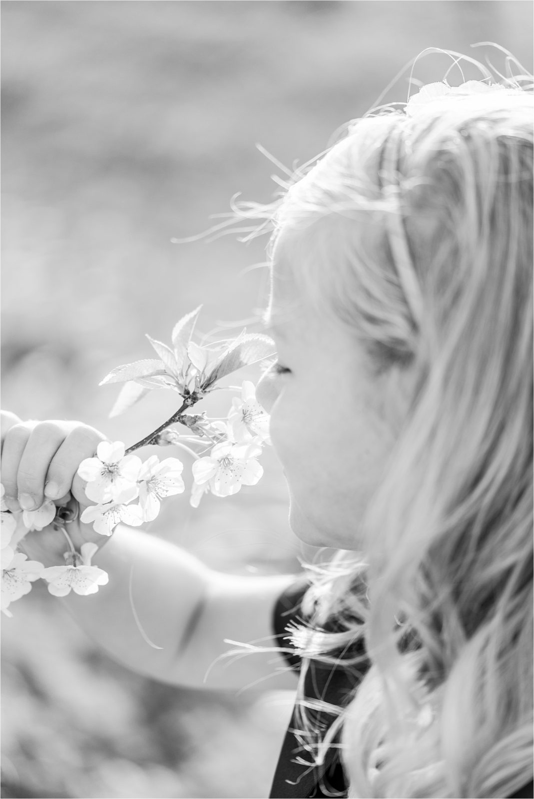 Cherry orchard girl smelling blossom