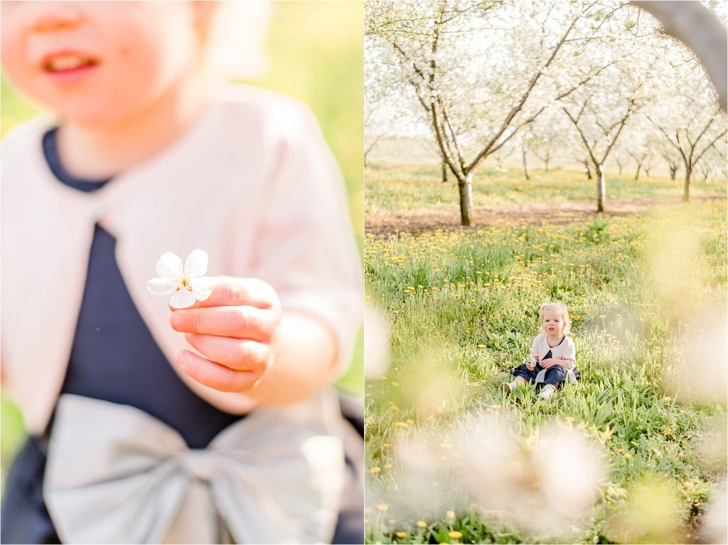 Cherry orchard little girl sitting