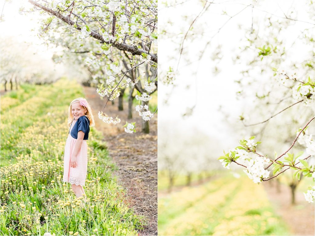 Cherry orchard girl and blossom