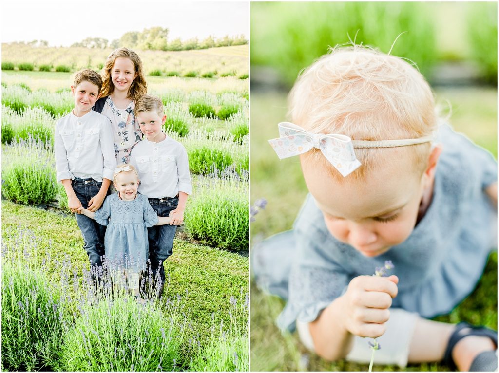 Delhi Lavender Farm Family Session