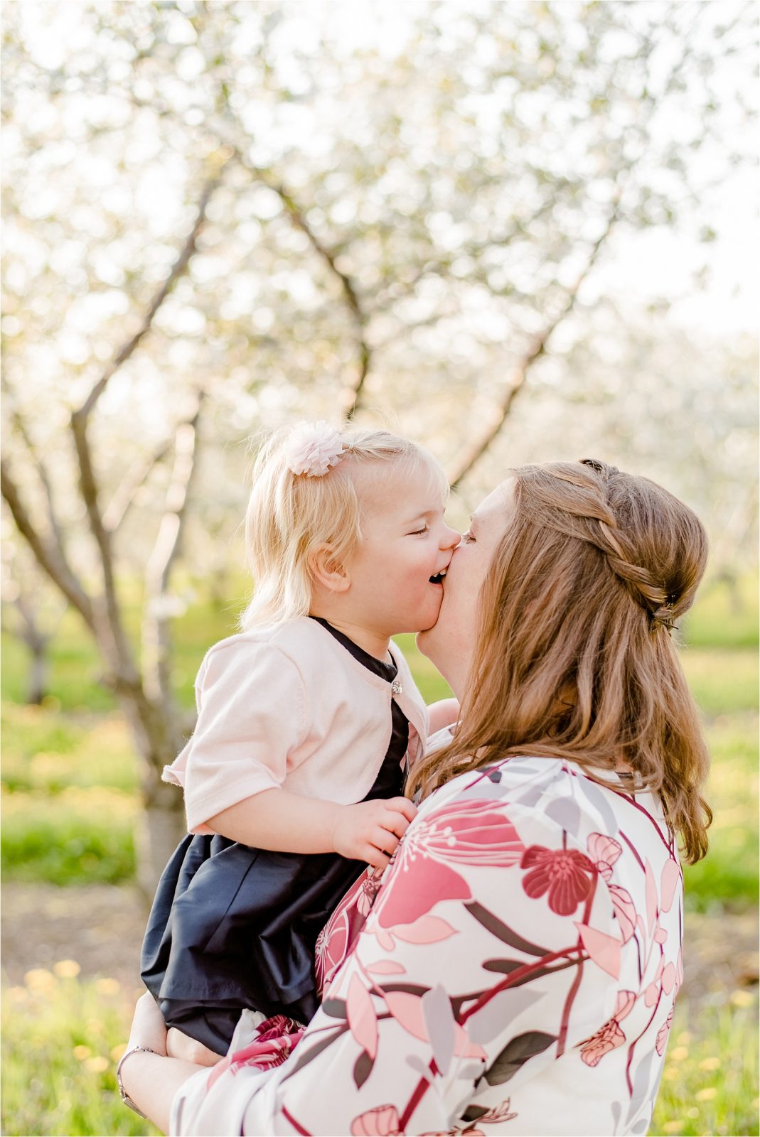 Cherry orchard little girl kissing mother