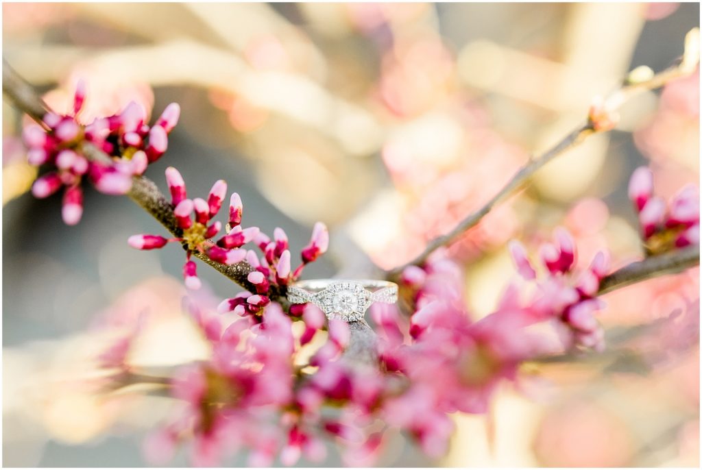 Burgessville Countryside Engagement Session ring detail in blossoms